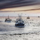 Barcos pesqueros en el mar