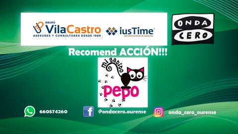 RecomendACCION!!! con Mi gatito Pepo