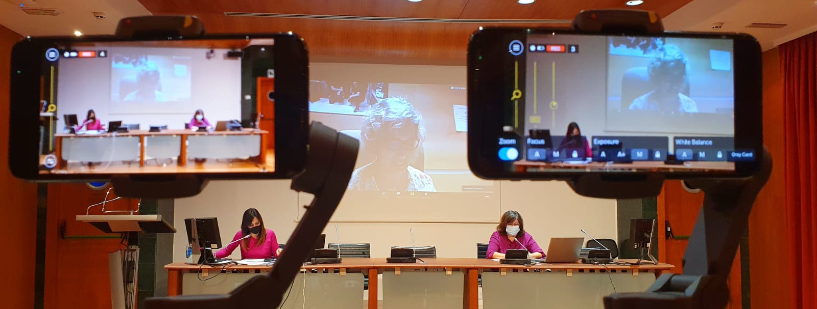 La Asociación Comunicadoras de Granada recibe la mención especial de los premios Menina 2020 La Asociación Comunicadoras de Granada recibe la mención especial de los premios Menina 2020