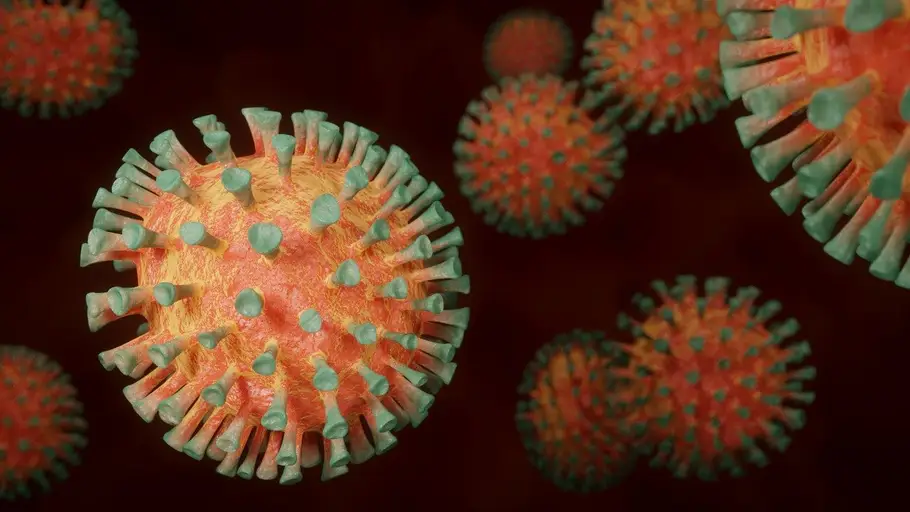 estructura del coronavirus estructura del coronavirus