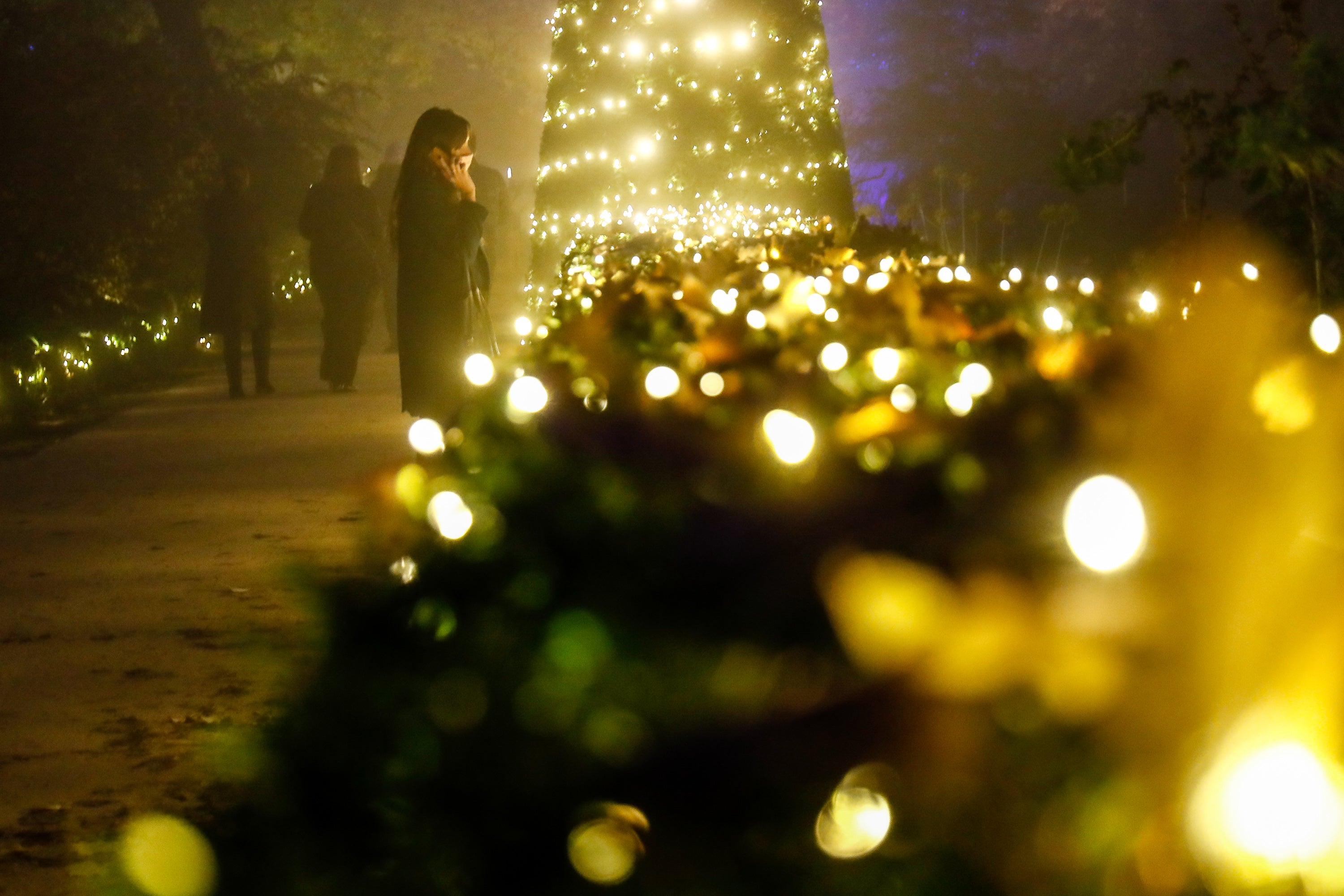 Ya se conoce el nombre de la empresa que vestirá de luces el Jardín Botánico de la Concepción Ya se conoce el nombre de la empresa que vestirá de luces el Jardín Botánico de la Concepción
