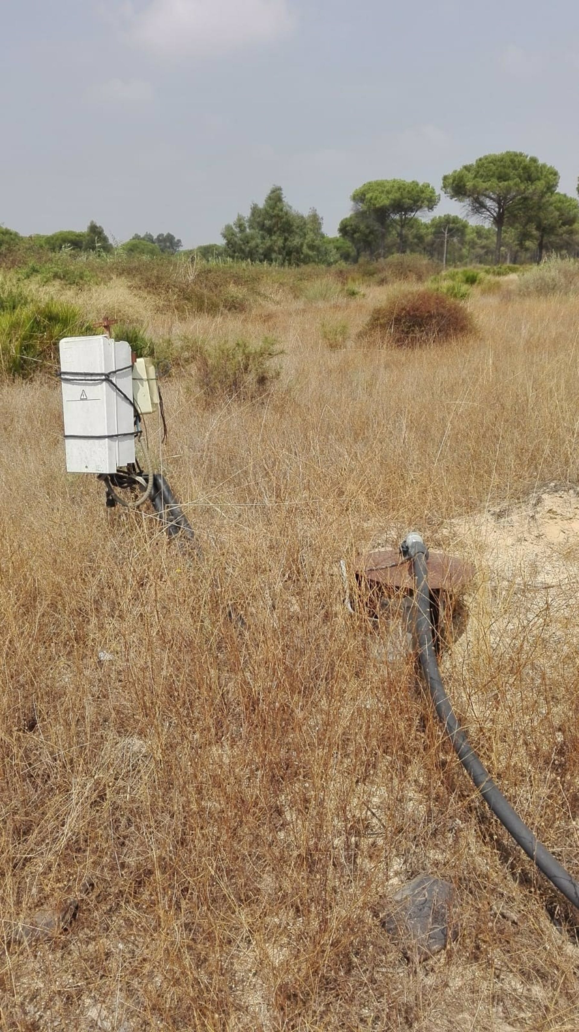 CHG anuncia el cierre de 170 pozos más en el entorno de Doñana tras la concesión para riego de 318 hectáreas CHG anuncia el cierre de 170 pozos más en el entorno de Doñana tras la concesión para riego de 318 hectáreas