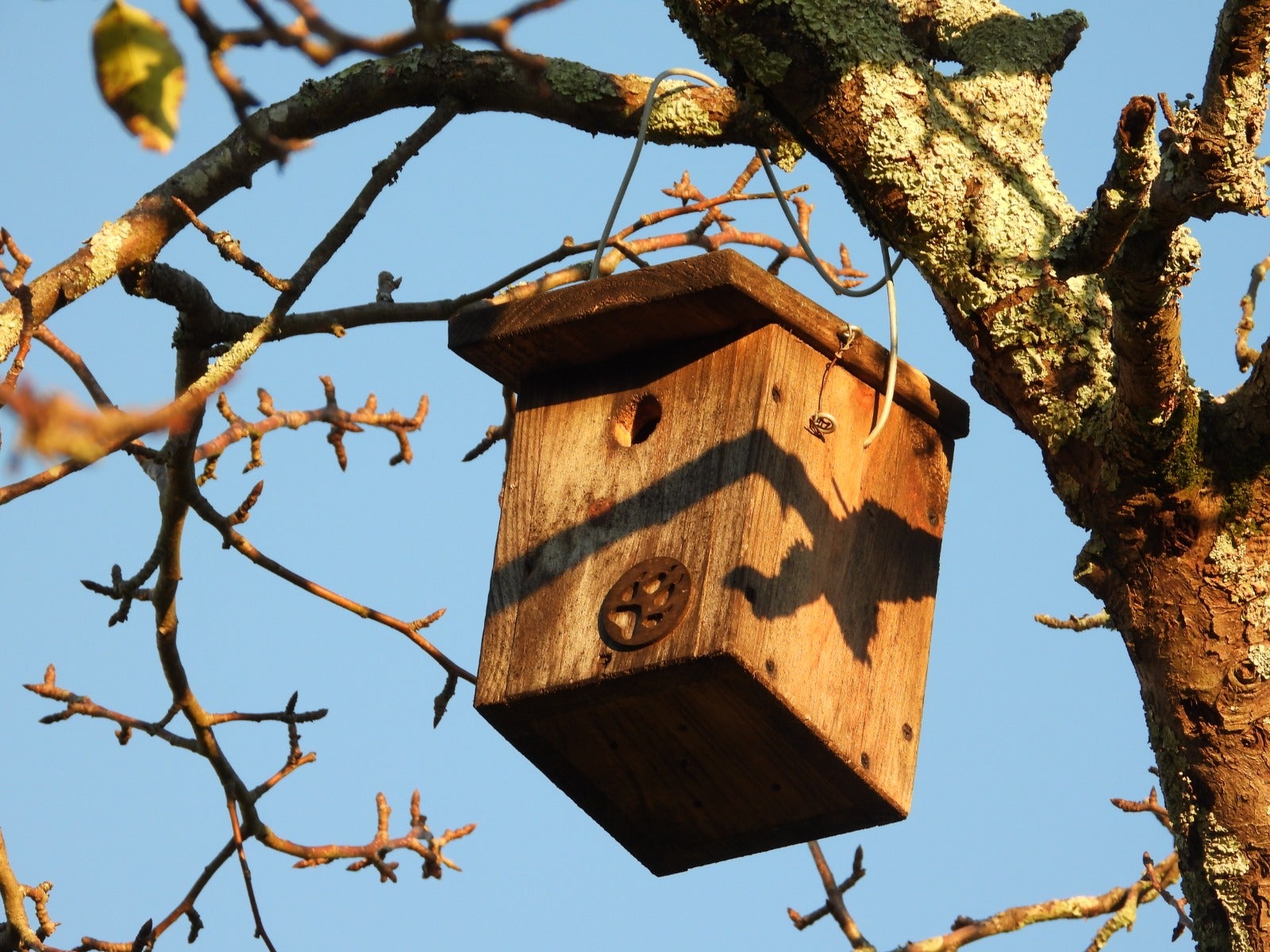 Más de uno Ceuta 17/2/25 Más de uno Ceuta 17/2/25