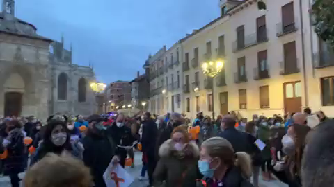 VÍDEO: La Plataforma Más Plurales en Castilla y León se concentra en Palencia contra la Ley Celaá VÍDEO: La Plataforma Más Plurales en Castilla y León se concentra en Palencia contra la Ley Celaá
