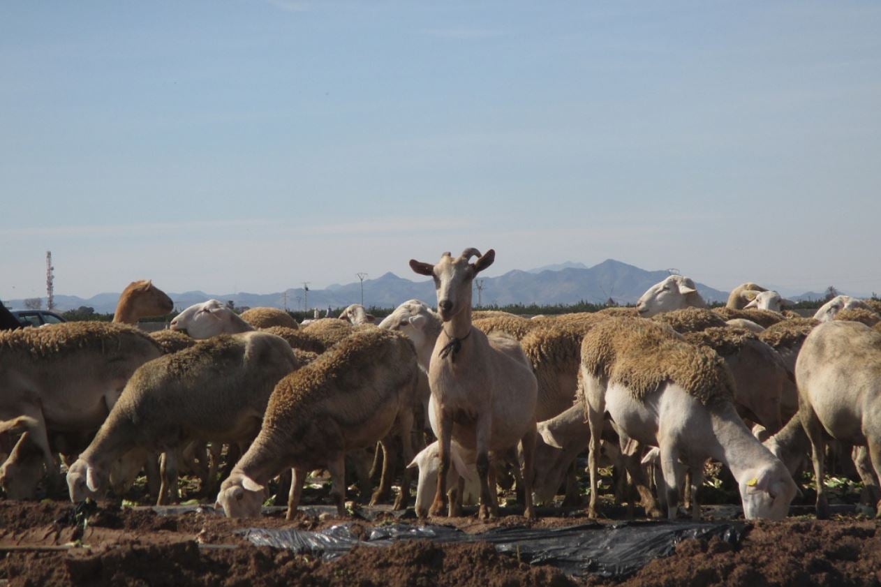 El turisme rural revitalitza zones d’Espanya que estaven perdent vida El turisme rural revitalitza zones d’Espanya que estaven perdent vida