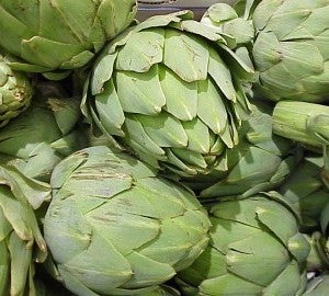 Algar de Palància celebra sus III Jornadas Gastronómicas de la Alcachofa Algar de Palància celebra sus III Jornadas Gastronómicas de la Alcachofa