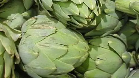 Alcachofas Se Nos Va la Olla