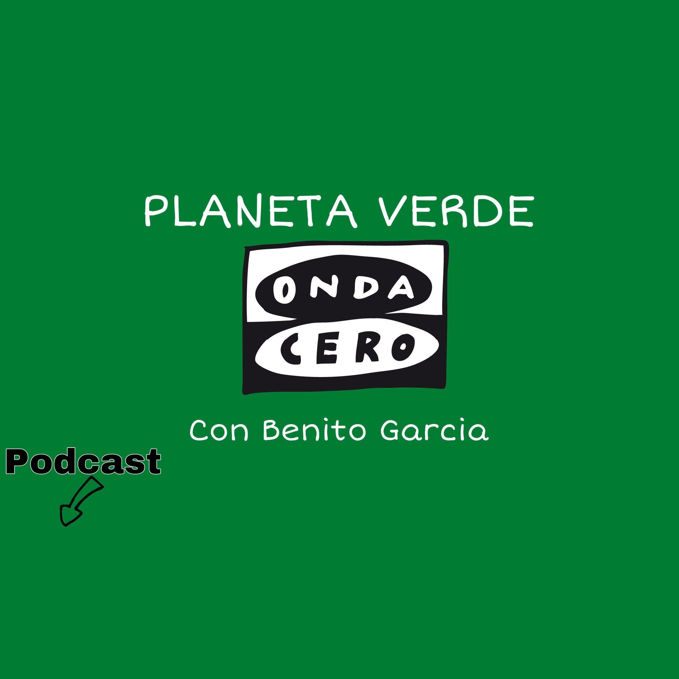 El sector pesquero pide que se atiendan sus demandas en el diseño de la eólica marina El sector pesquero pide que se atiendan sus demandas en el diseño de la eólica marina