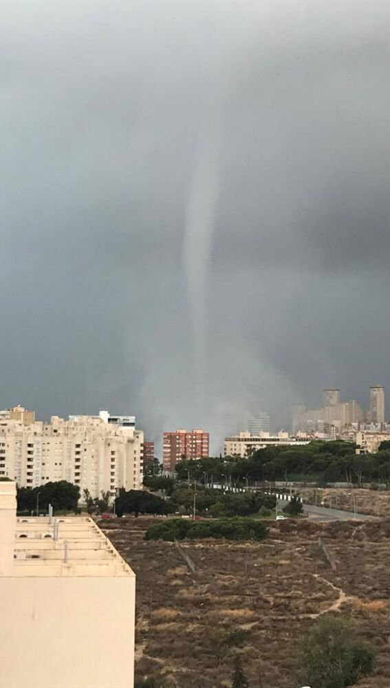 Otra captura de la manga marina