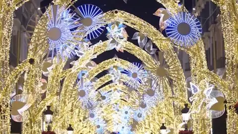 Luces de Navidad en Málaga El bosque de la Navidad 2019-2020 en Málaga. Calle Larios