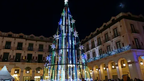 Árbol en la plaza López Allué de Huesca Árbol en la plaza López Allué de Huesca