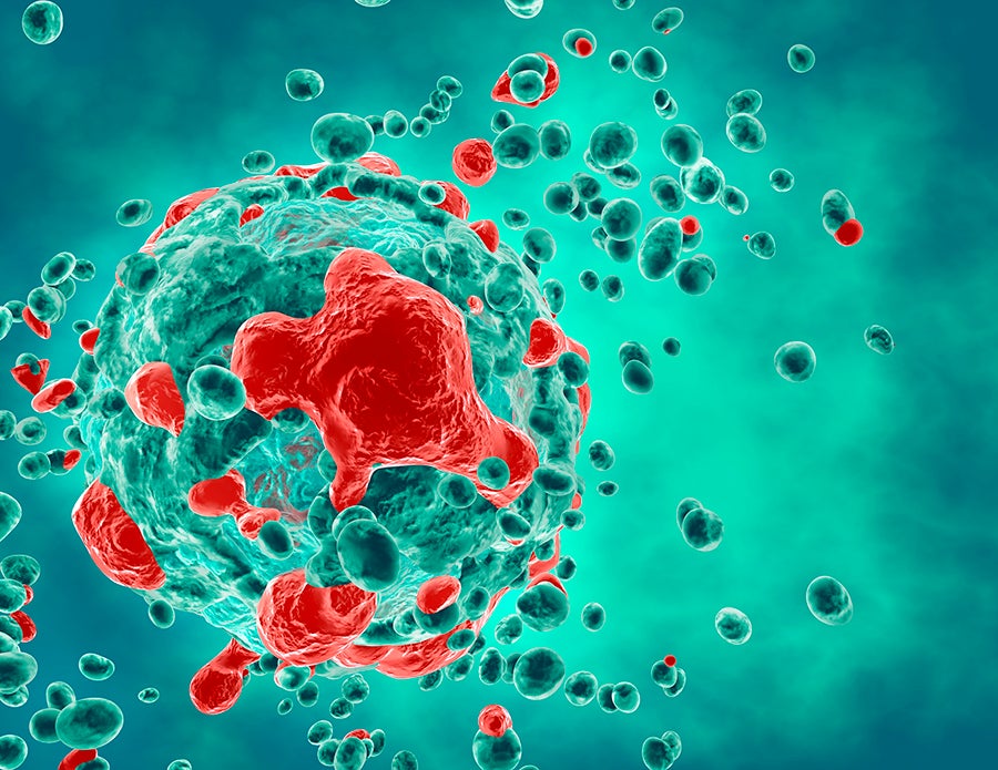 La Universidad de Sevilla consigue un nuevo avance en la búsqueda de una vacuna contra el cáncer La Universidad de Sevilla consigue un nuevo avance en la búsqueda de una vacuna contra el cáncer