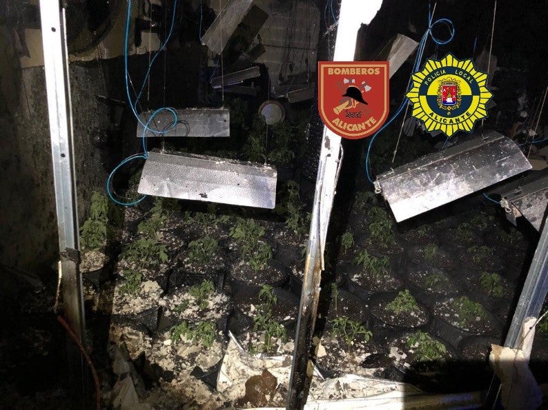 Los bomberos de Alicante hallan una plantación de marihuana en una nave incendiada Los bomberos de Alicante hallan una plantación de marihuana en una nave incendiada