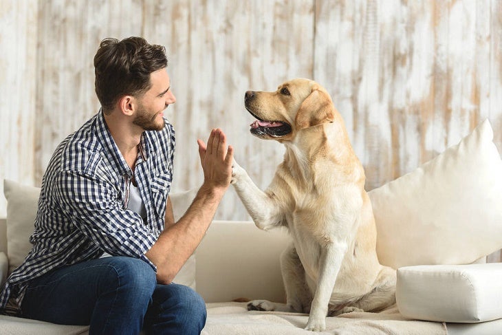 Cita con Angel Osuna adiestrador canino para comentar algunas noticias del mundo de las mascotas Cita con Angel Osuna adiestrador canino para comentar algunas noticias del mundo de las mascotas