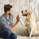 Cita con Angel Osuna adiestrador canino para comentar algunas noticias del mundo de las mascotas 