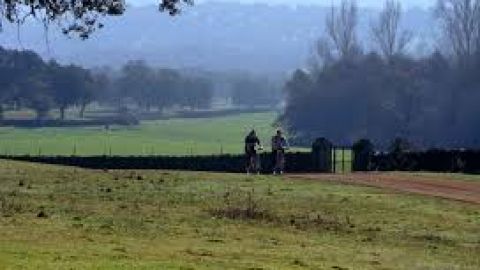 M&aacute;s de Uno C&oacute;rdoba