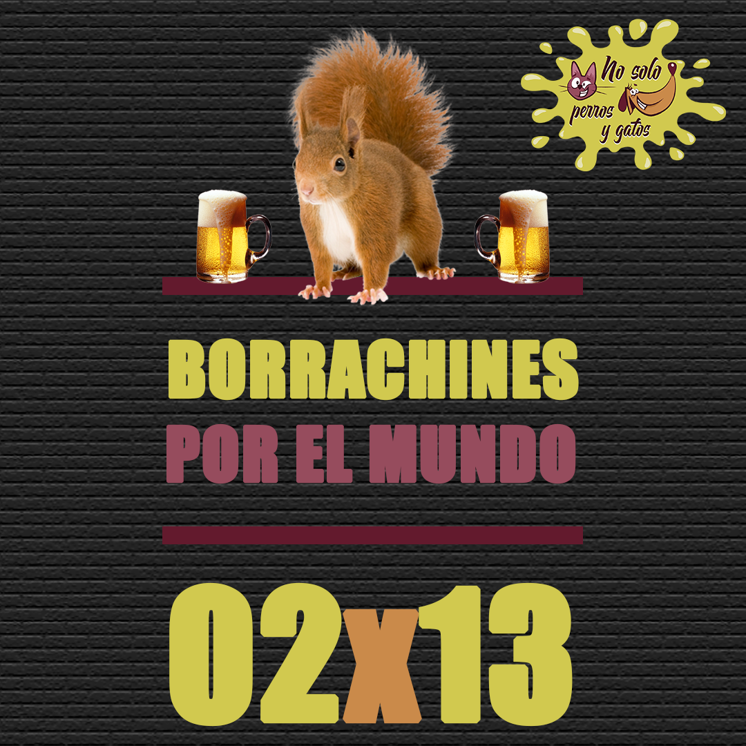 No Solo Perros y Gatos T02P13 | Borrachines por el Mundo No Solo Perros y Gatos T02P13 | Borrachines por el Mundo