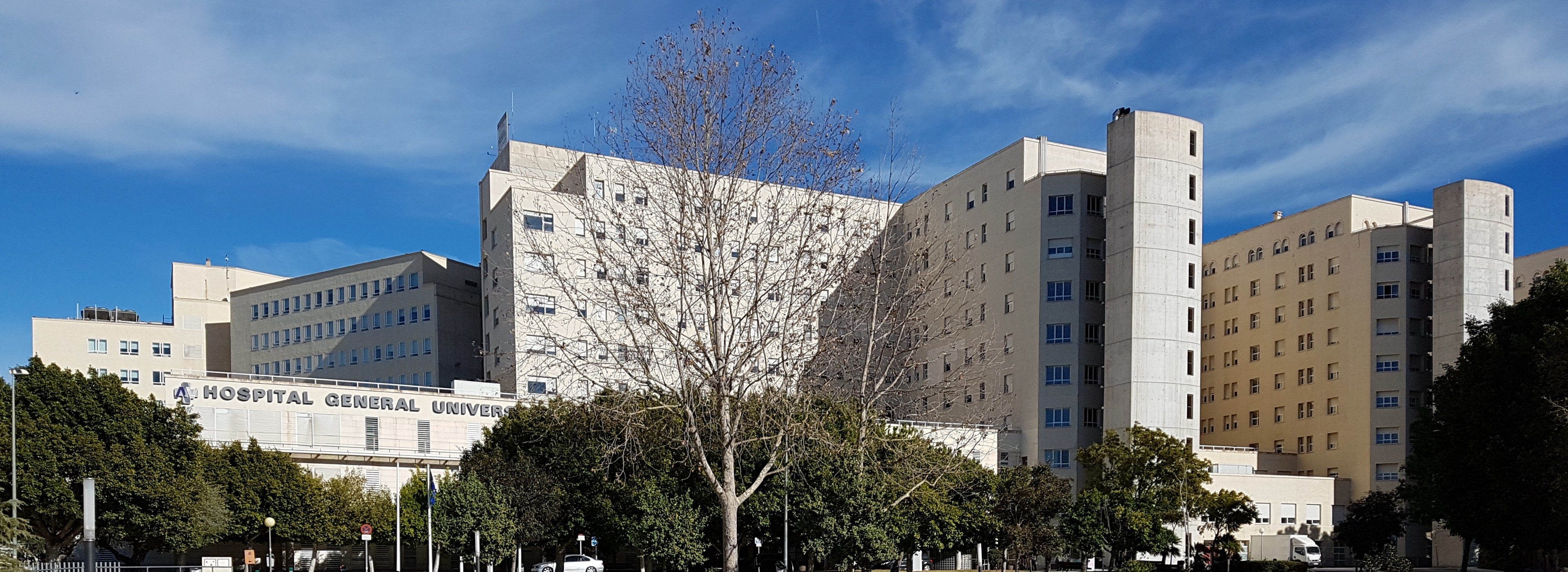 El General de Alicante logra tres galardones en los Premios TOP 20 y, por tercer año, el de mejor gestión hospitalaria global El General de Alicante logra tres galardones en los Premios TOP 20 y, por tercer año, el de mejor gestión hospitalaria global