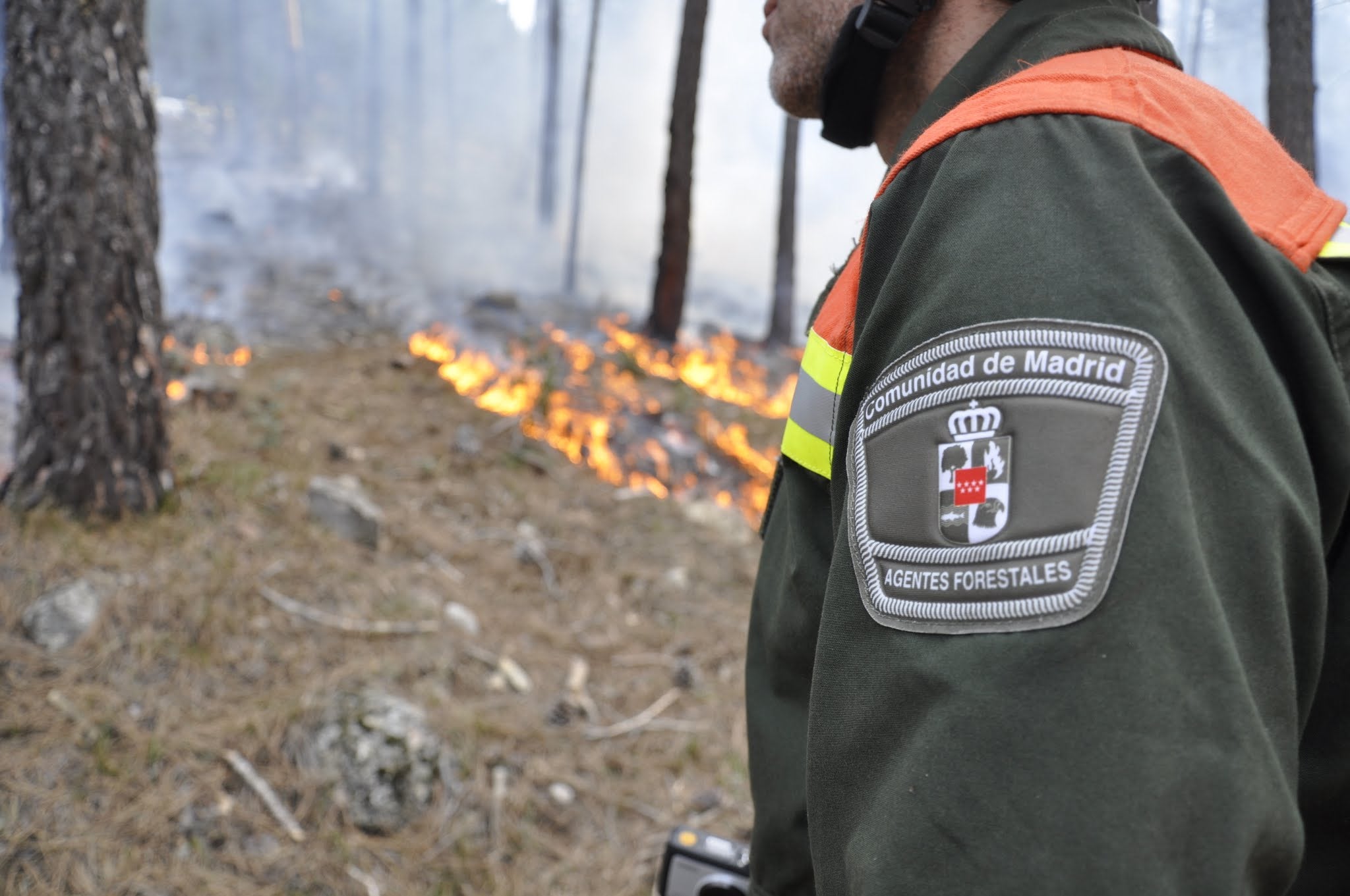 Así trabaja la "policía" que cuida del medioambiente Así trabaja la "policía" que cuida del medioambiente