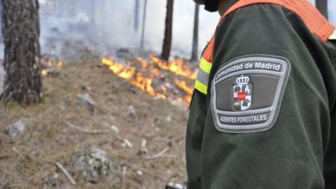 Agentes Forestales. Comunidad de Madrid