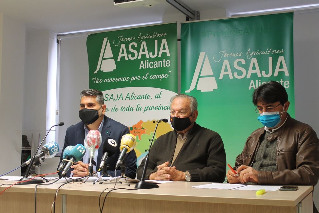 Los cítricos se convierten en salvavidas en este 'Año Covid' con un valor que sube un 23% por la demanda de vitamina C Los cítricos se convierten en salvavidas en este 'Año Covid' con un valor que sube un 23% por la demanda de vitamina C