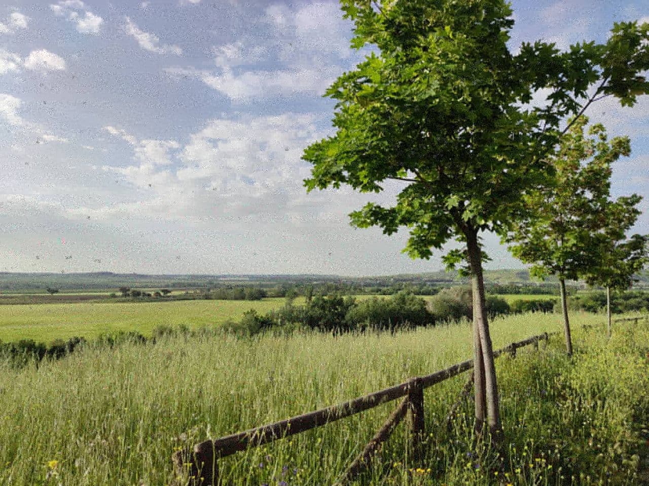 Más de uno Alcalá 17/12/2020 Más de uno Alcalá 17/12/2020