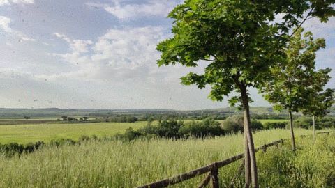 Caminos de la vega del Henares