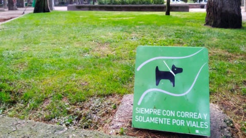 Carteles perros