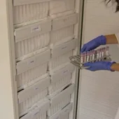Así será el proceso para conservar la vacuna contra el coronavirus: crecen las personas dispuestas a vacunarse Así será el proceso para conservar la vacuna contra el coronavirus: crecen las personas dispuestas a vacunarse