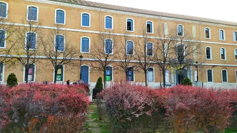 Edificio Cisneros Universidad de Alcalá Edificio Cisneros Universidad de Alcalá