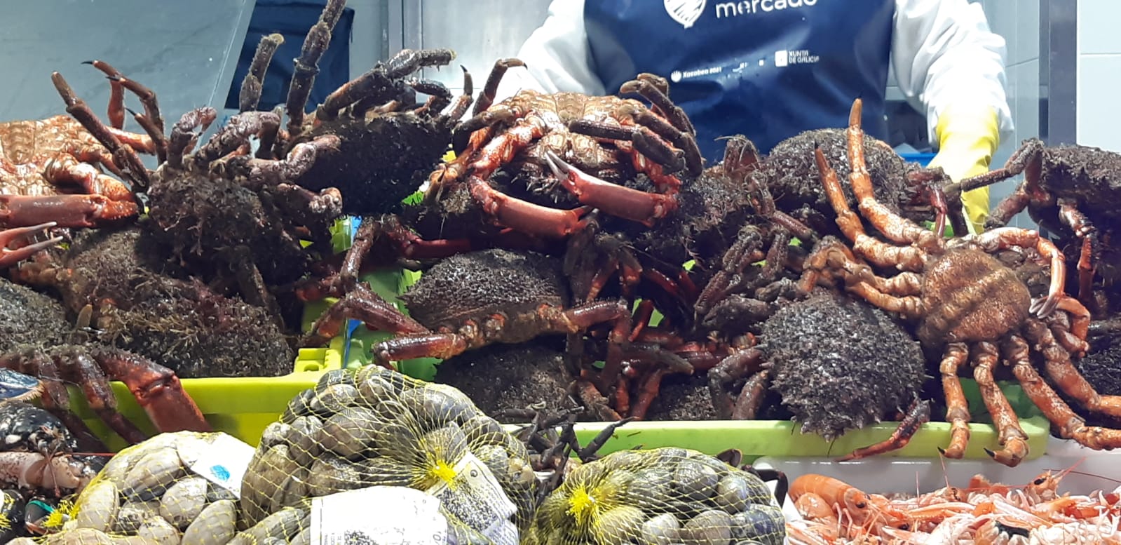 La gerencia de la Plaza de Abastos de Santiago sobre el supermercado: "non hai nada decidido" La gerencia de la Plaza de Abastos de Santiago sobre el supermercado: "non hai nada decidido"