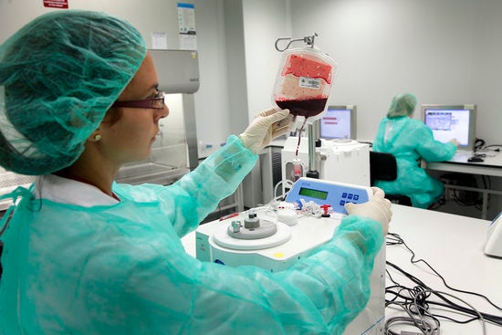 Conscienciar els joves perquè es facin donants de medul·la òssia Conscienciar els joves perquè es facin donants de medul·la òssia