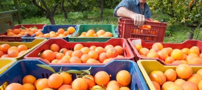 Crece ligeramente el paro en la provincia de Castellón durante el mes de octubre Crece ligeramente el paro en la provincia de Castellón durante el mes de octubre