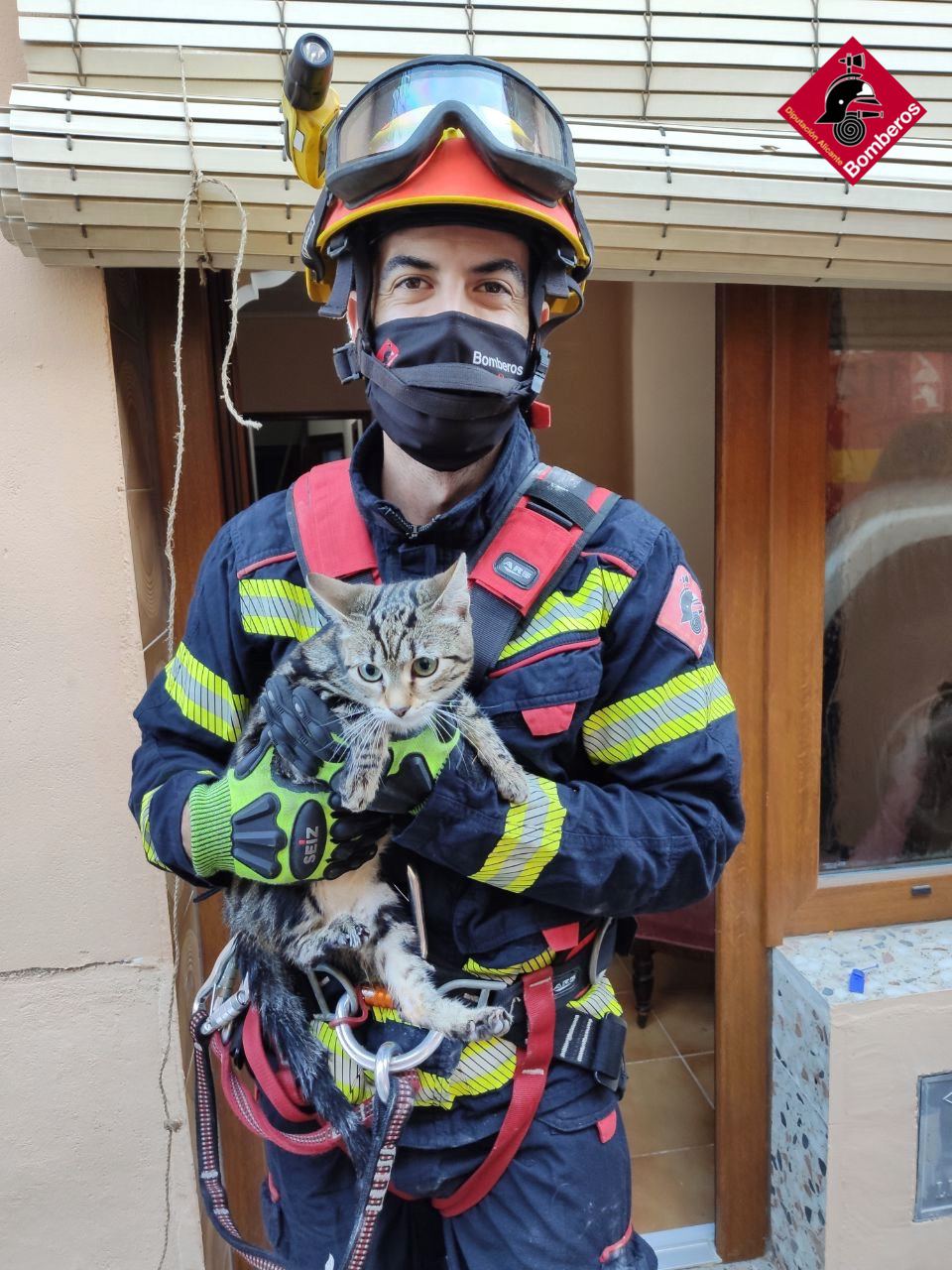 Los bomberos del consorcio rescatan a un gato que había caído a un pozo de una vivienda Los bomberos del consorcio rescatan a un gato que había caído a un pozo de una vivienda