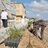 Convenio de colaboración para la protección y recuperación de la Jarilla de Cabeza de Gato en el término municipal de Torrevieja Convenio de colaboración para la protección y recuperación de la Jarilla de Cabeza de Gato en el término municipal de Torrevieja