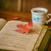 Leer en Navidad, una costumbre islandesa