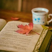 Leer en Navidad, una costumbre islandesa Leer en Navidad, una costumbre islandesa