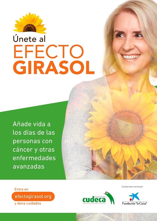 Nos sumamos al "Efecto Girasol" de Fundación Cudeca Nos sumamos al "Efecto Girasol" de Fundación Cudeca