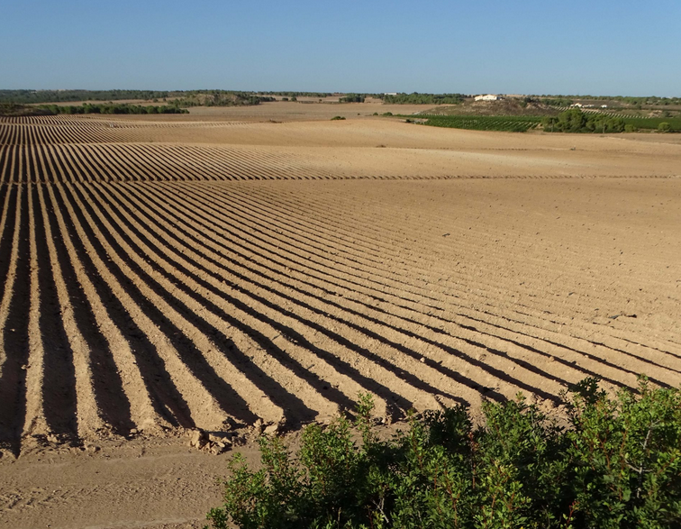ANSE pide correspondencia inequívoca entre Unidades de Demanda Agraria y Derechos de Agua Inscritos que imposibilite la futura regularización de nuevos regadíos en la cuenca ANSE pide correspondencia inequívoca entre Unidades de Demanda Agraria y Derechos de Agua Inscritos que imposibilite la futura regularización de nuevos regadíos en la cuenca