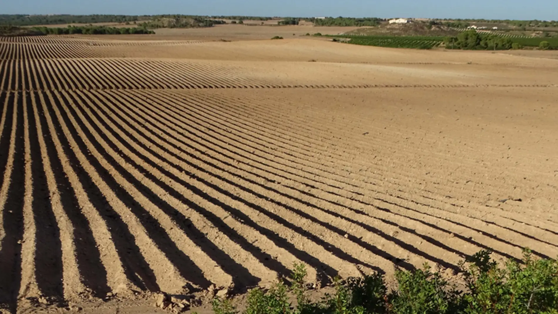  ANSE pide correspondencia inequívoca entre Unidades de Demanda Agraria y Derechos de Agua Inscritos que se imposibilite la futura regularización de nuevos regadíos en la cuenca