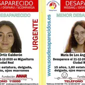 Encuentran en Alcázar a las jóvenes desaparecidas en Miguelturra Encuentran en Alcázar a las jóvenes desaparecidas en Miguelturra