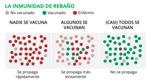 La inmunidad de reba&ntilde;o