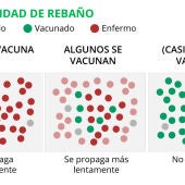 La inmunidad de rebaño