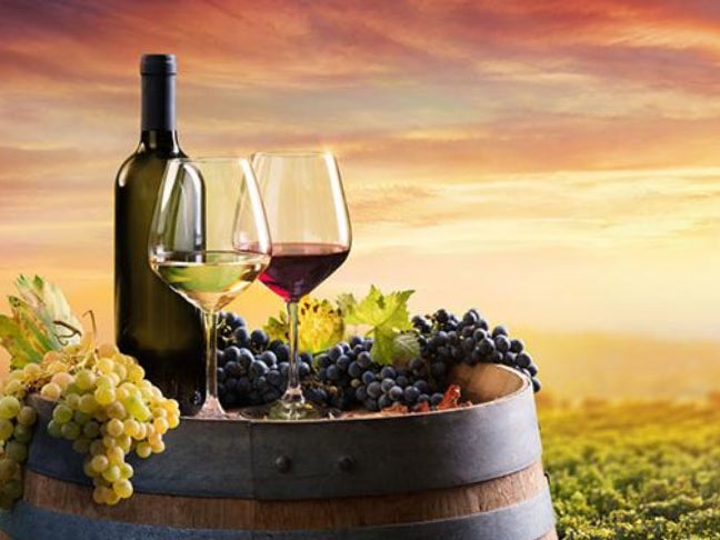 Más de uno Euskadi 28/12/2020 con Susana Marqués. Más de uno Euskadi 28/12/2020 con Susana Marqués.