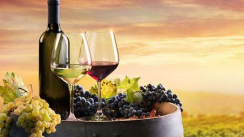 Especial bebidas Euskadi