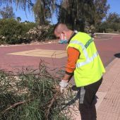 El programa del Servicio Valenciano de Empleo y Formación Labora y del Fondo Social Europeo promueve la contratación de jóvenes menores de 30 años 