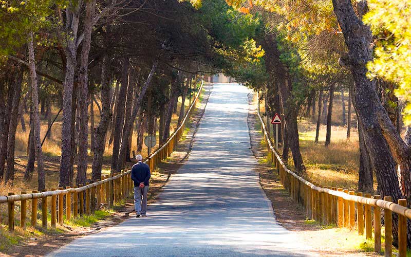 Hablamos con José Luis Sáez, Alcalde de Guardamar del Segura pide a sus vecinos celebrara las fiestas en familia Hablamos con José Luis Sáez, Alcalde de Guardamar del Segura pide a sus vecinos celebrara las fiestas en familia