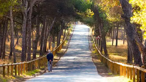 Hablamos con José Luis Sáez, Alcalde de Guardamar del Segura pide a sus vecinos celebrara las fiestas en familia Guardamar
