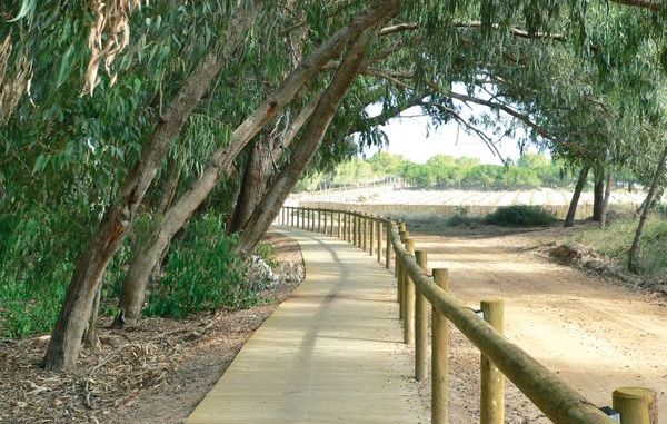 Nuevo spot promocional de las lagunas de La Mata y Torrevieja bajo el lema 'paraíso salado' Nuevo spot promocional de las lagunas de La Mata y Torrevieja bajo el lema 'paraíso salado'