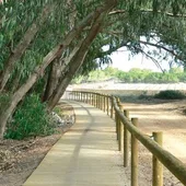 Nuevo spot promocional de las lagunas de La Mata y Torrevieja bajo el lema 'paraíso salado' Nuevo spot promocional de las lagunas de La Mata y Torrevieja bajo el lema 'paraíso salado'